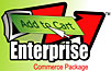 E-Commerce Enterprise 2.0